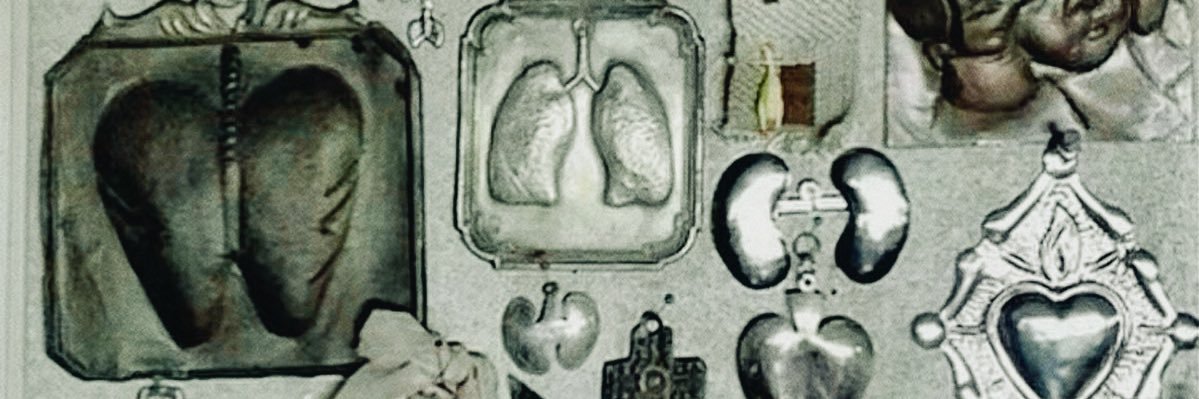 goruqopus🫧 banner