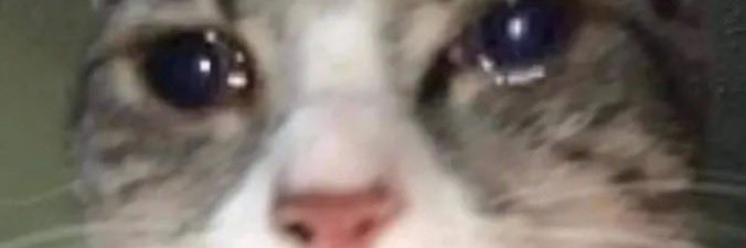 alex 👩🏽‍💻 | cybersec banner