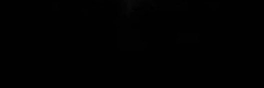 effie banner