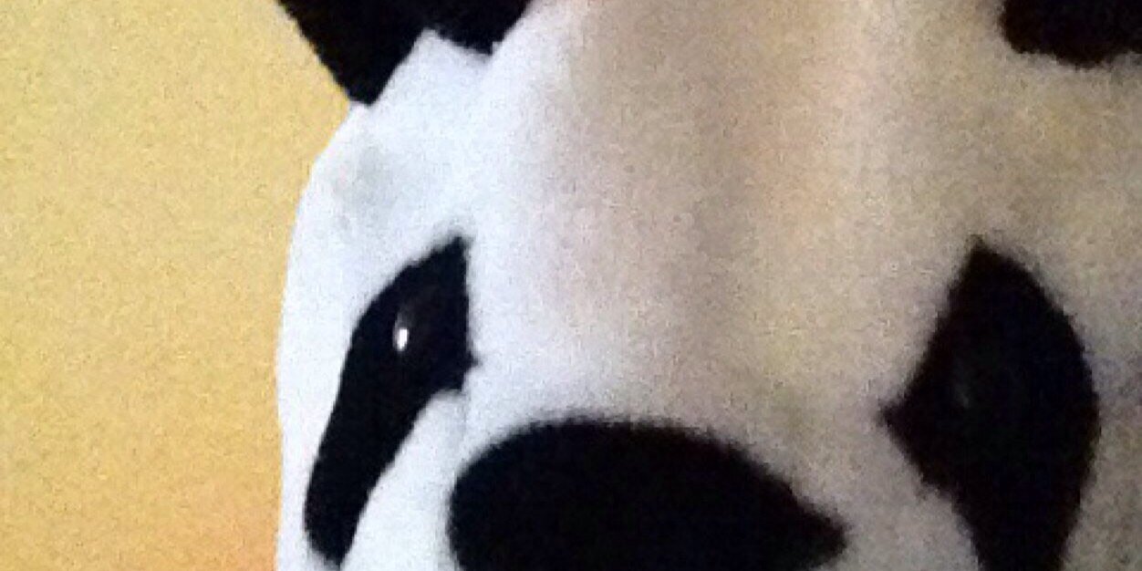 DarzyLAD's profile banner image