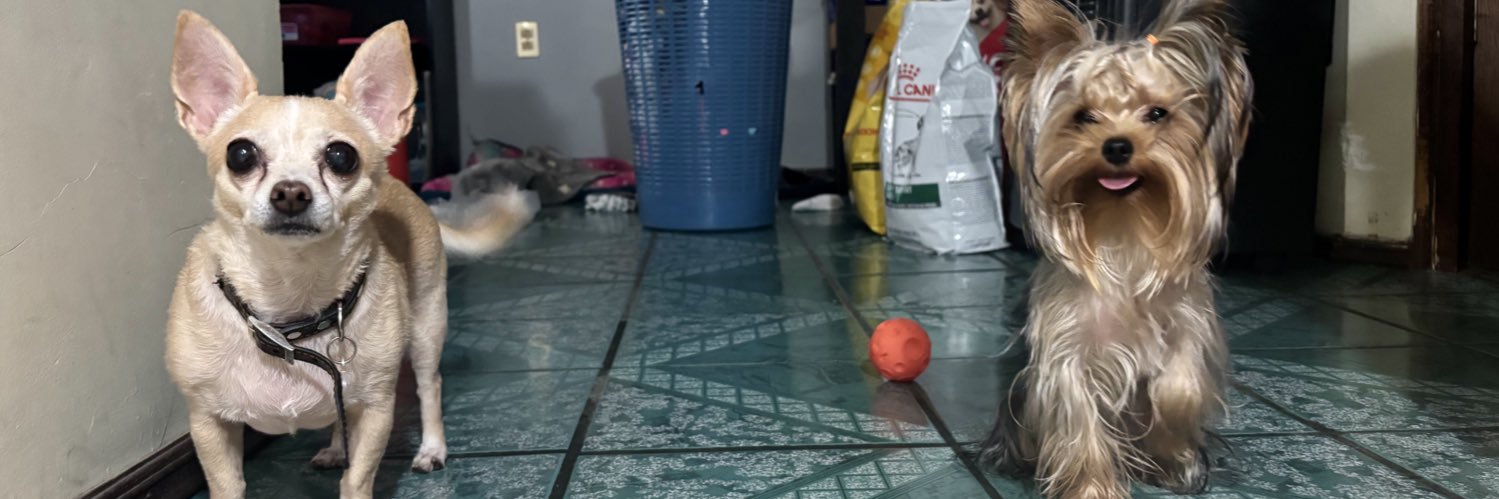 fgrzagzz's profile banner image