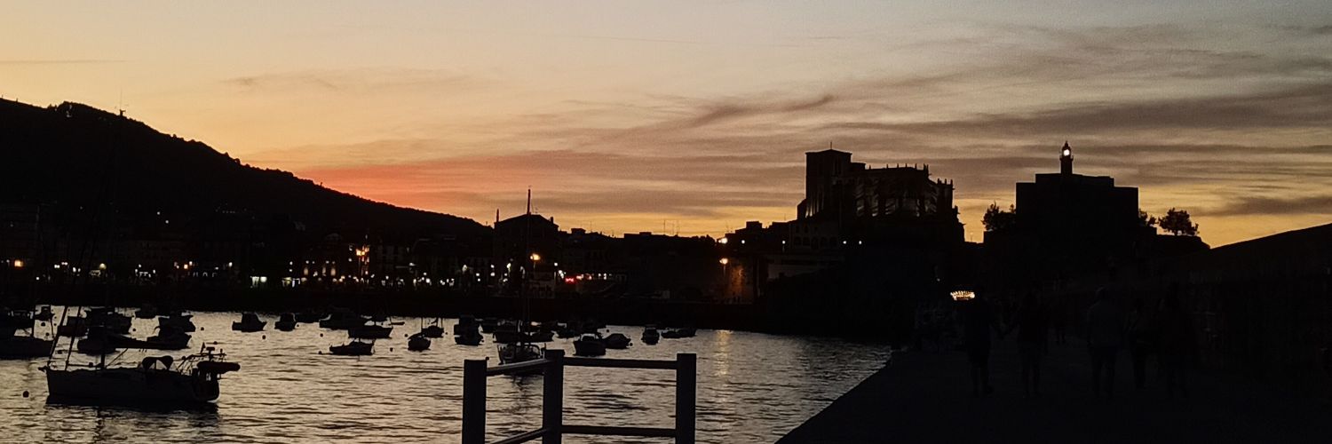 Javier ᚠR 💢 banner