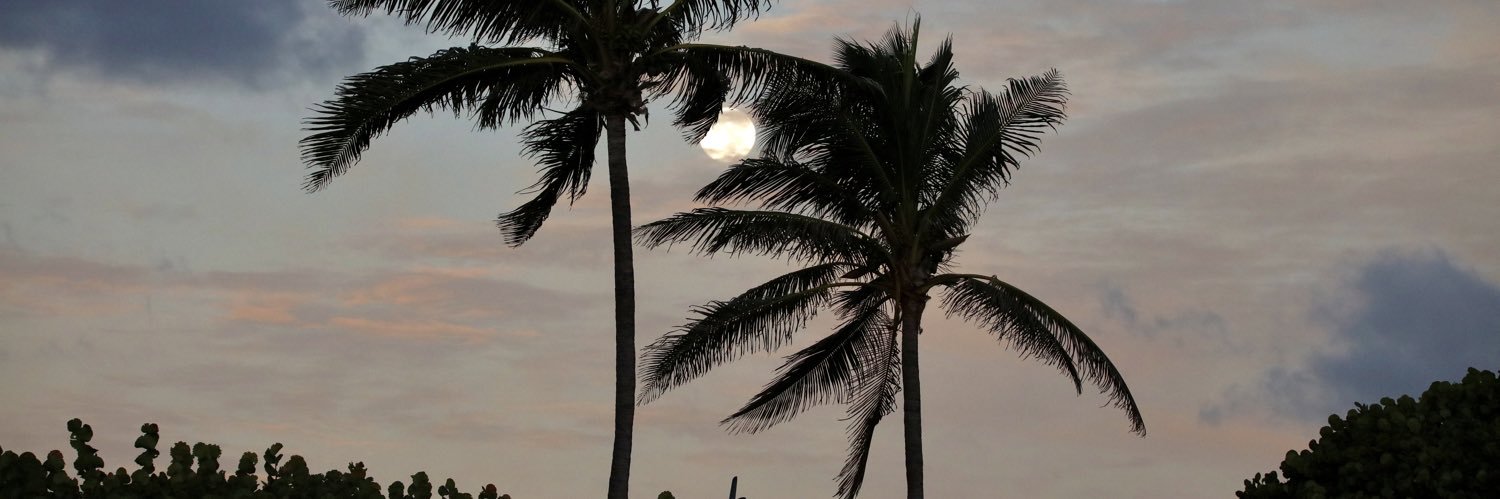 otc_daytrader's profile banner image