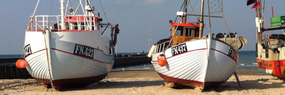 Jan Kjærgaard banner