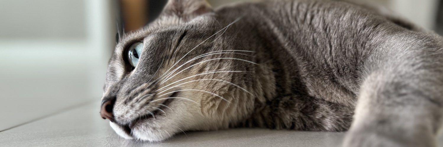 심땅_simDdang banner