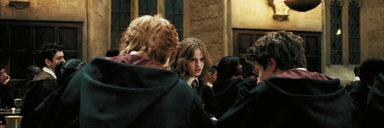 santopotter's profile banner image