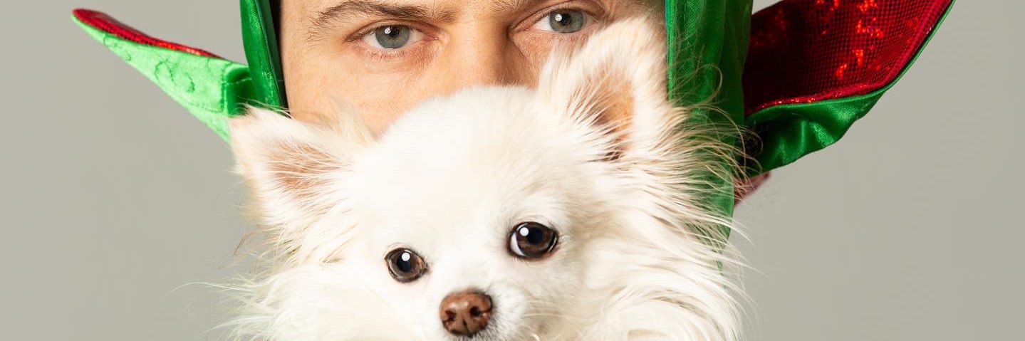 Mr Piffles banner