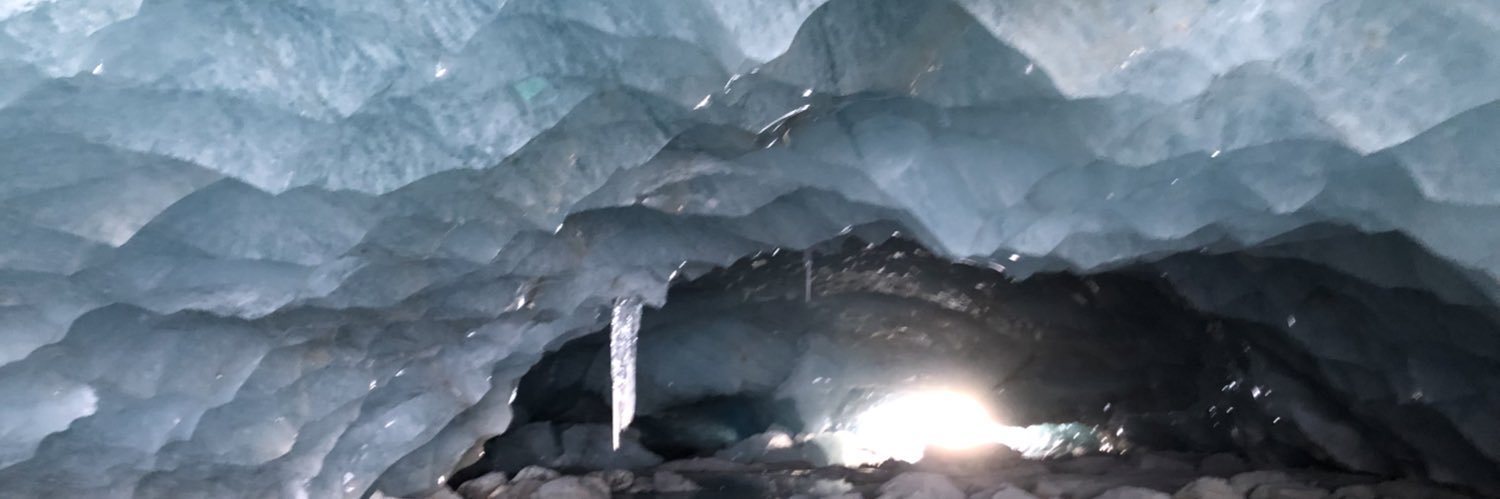 Thomas Kollegger banner