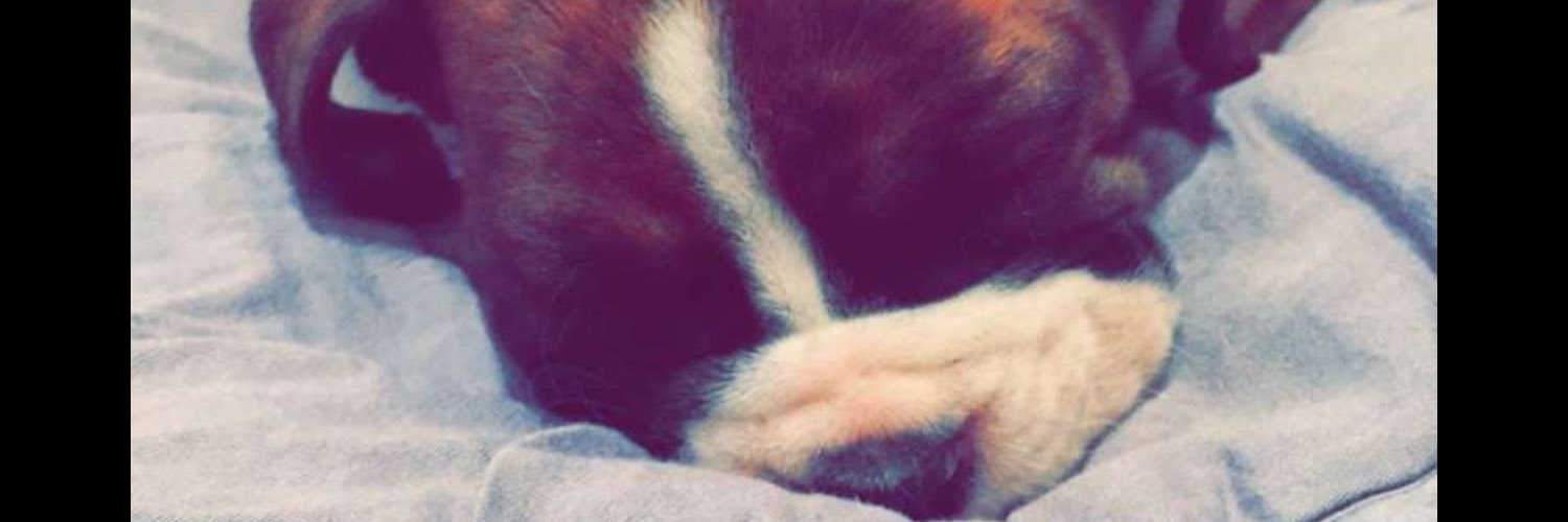 micarajchel's profile banner image