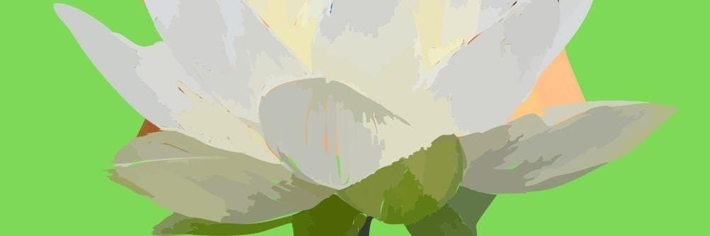 ALLIMBKIM banner