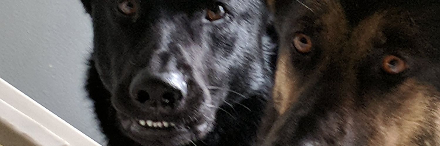 RyanHunka's profile banner image