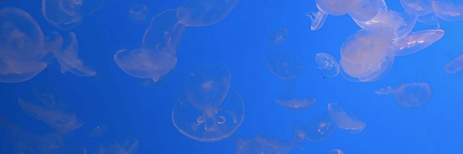 jackychewo's profile banner image