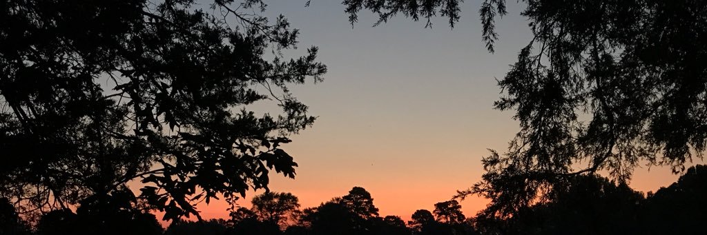 reean_c's profile banner image