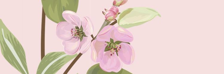 abbydougherty6's profile banner image