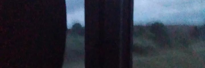 delylahiskool's profile banner image