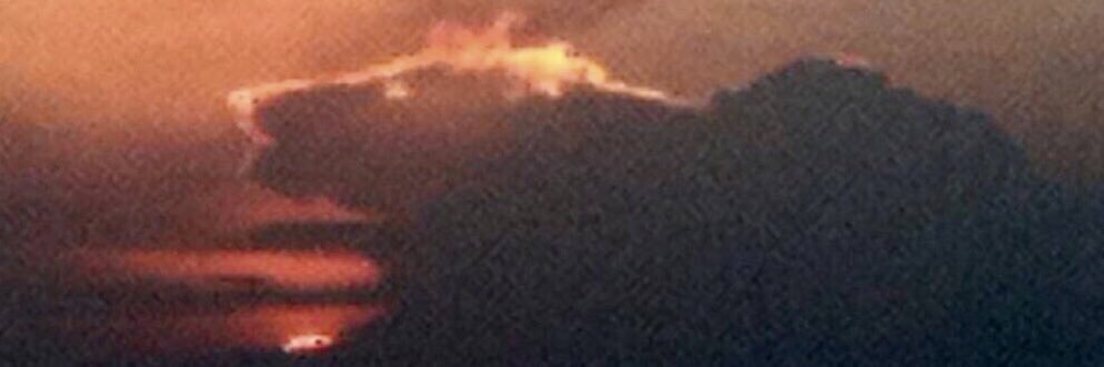 Johan A. Mistiaen banner