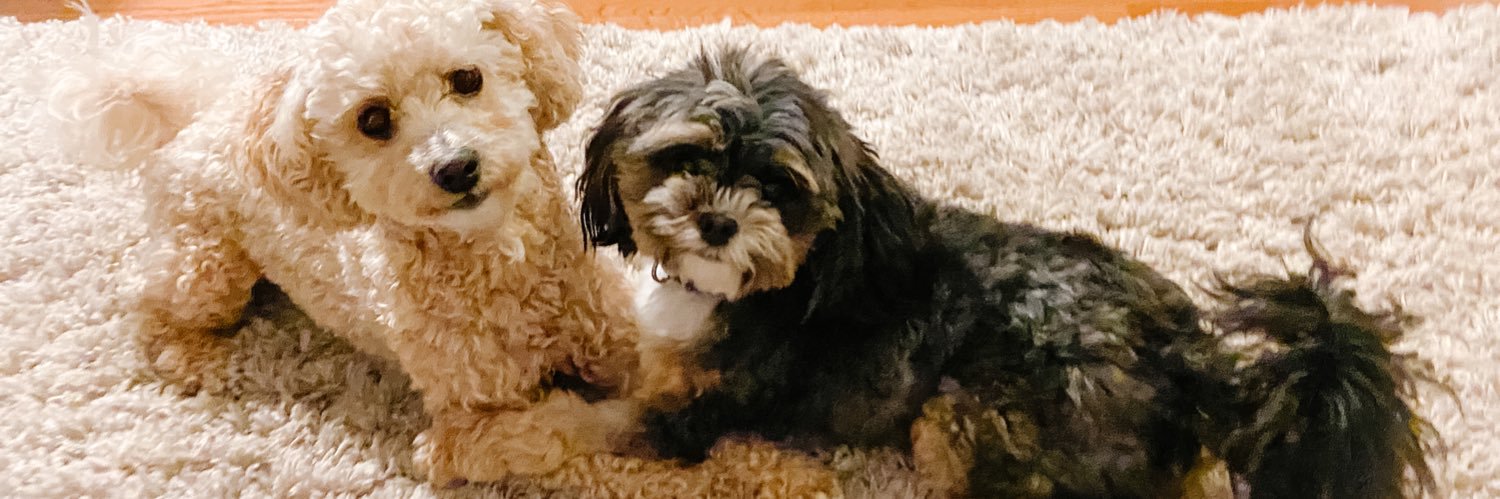 Jill_Fernandes5's profile banner image