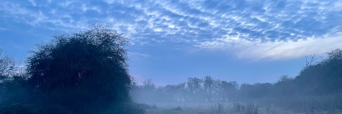 Taro Takeuchi /竹内太郎 banner