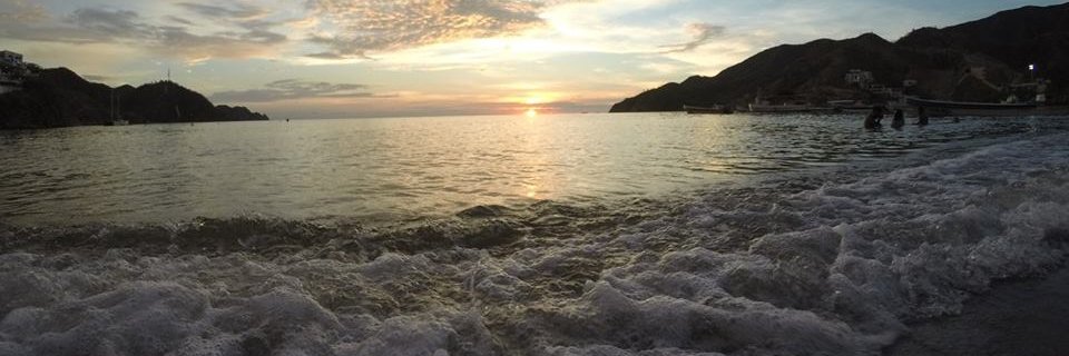 Carittorios's profile banner image