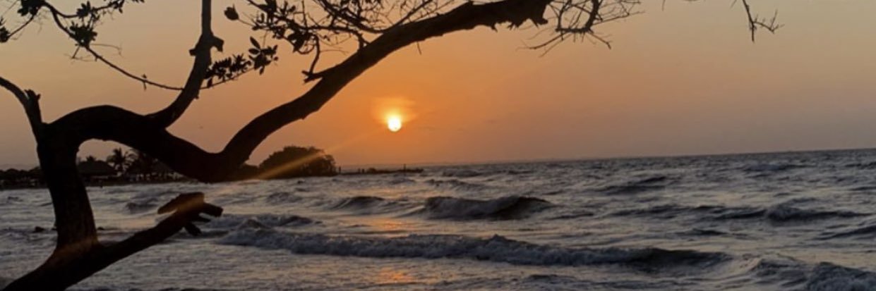 mkmilabadel's profile banner image