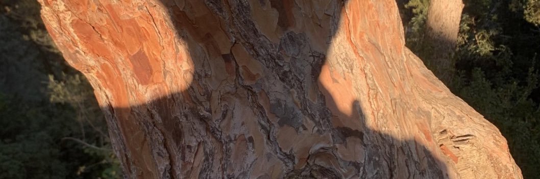 Tonicosanches75's profile banner image