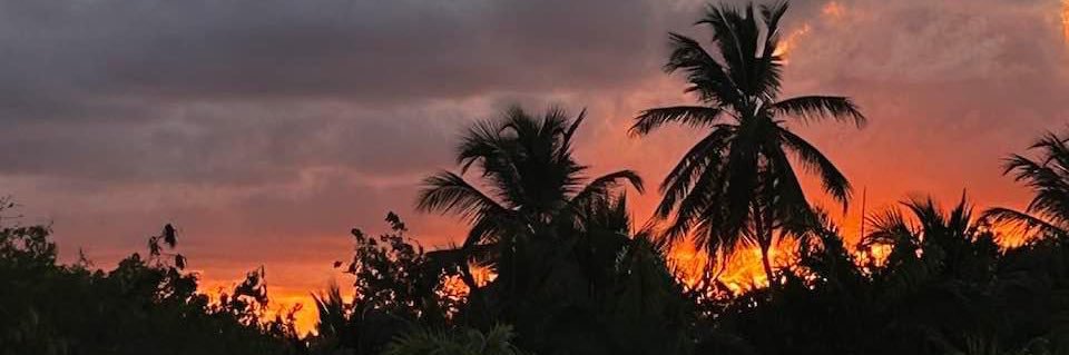 Joey_List93's profile banner image