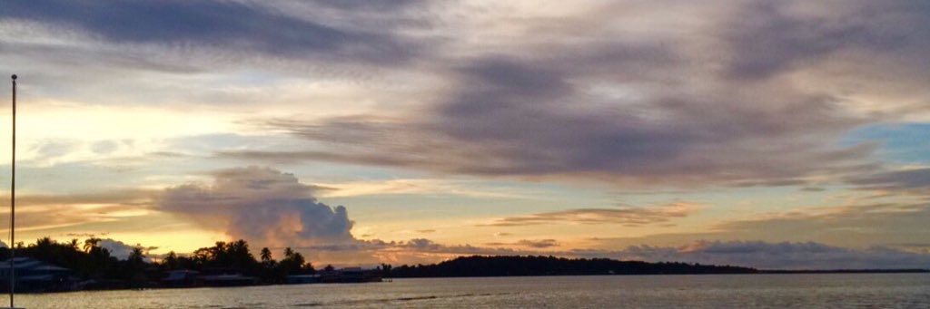 christiedlt's profile banner image
