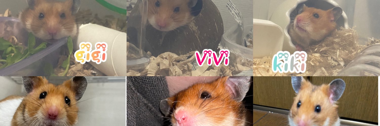 ys ❤ハムハムファミリー🐹優しい繋がりに感謝(ㅅ´꒳` )'s banner