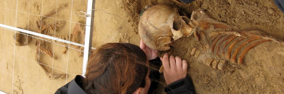 Elle Saine, MD, PhD, MA banner