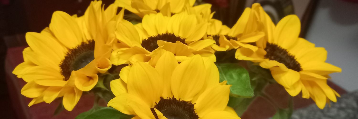 montesdeoca26's profile banner image