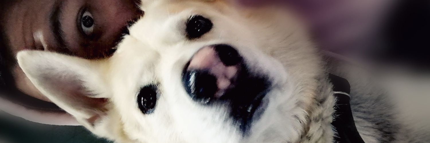 Leon_s0212's profile banner image