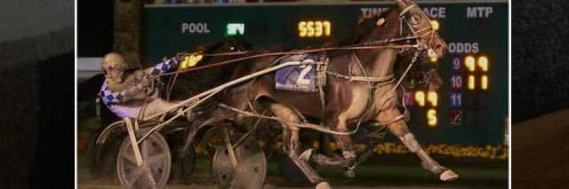 Mark J MacDonald banner