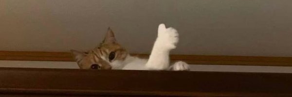 moveris Profile Banner