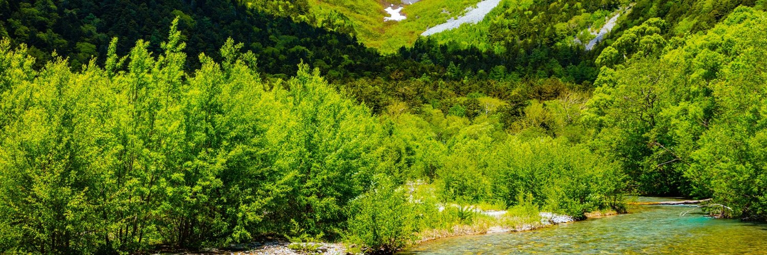 Paul Haderach banner