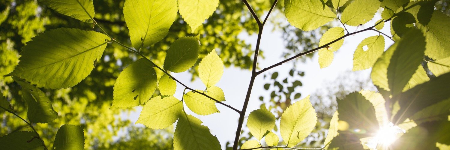 코디 에버렛 banner