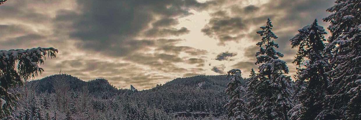 Zayan_Ali_'s profile banner image
