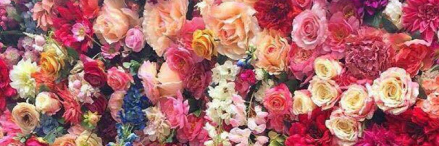 Basmashreif's profile banner image