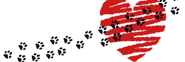 StratfordSTARS's profile banner image