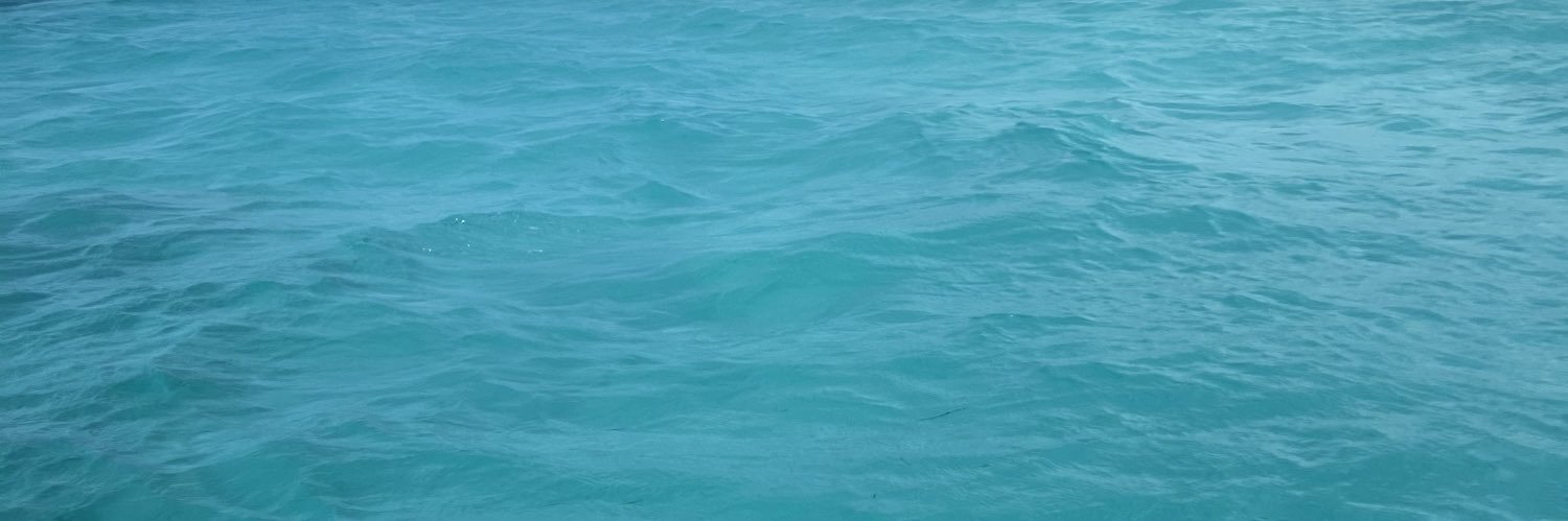 _bre_ana_'s profile banner image