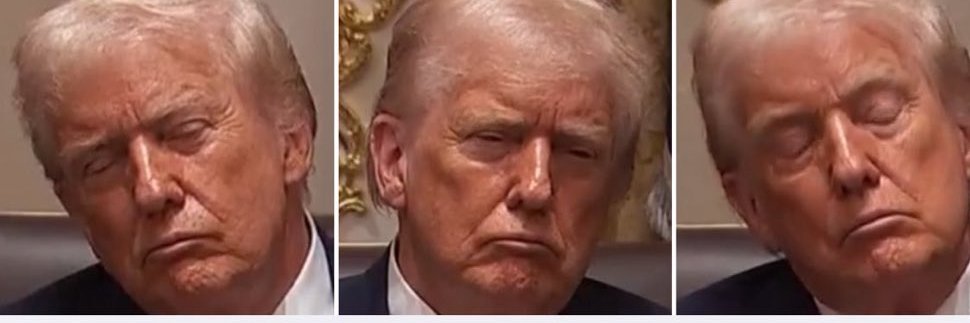 The Lies & Fall of Donald Trump banner