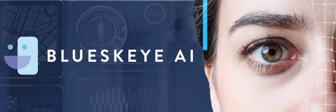 BlueSkeye AI banner