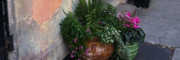 BrownDesignStd Profile Banner