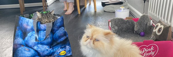 MegalomaniacMo2 Profile Banner