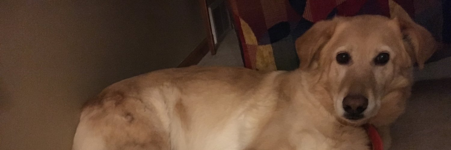 natpfann's profile banner image