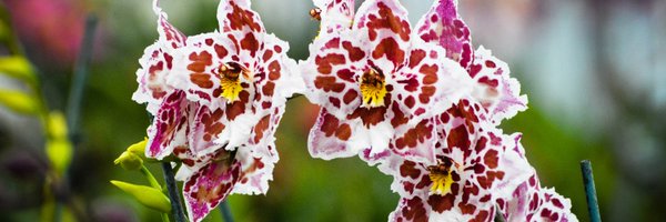 TheMathersFoun1 Profile Banner