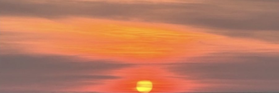 emilita banner