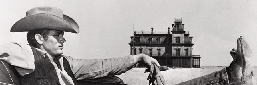 Tracy Q. Loxley banner