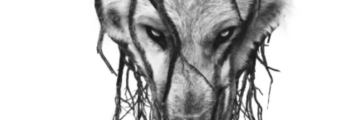jon_ohara's profile banner image