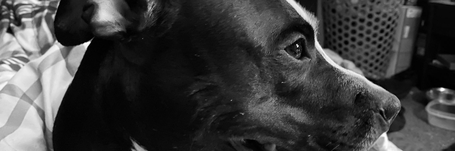 stevens_jc's profile banner image