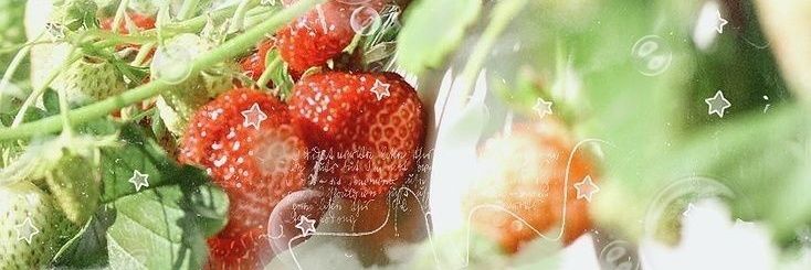 chi-r0n ☆ ⋆ banner